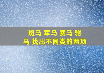 斑马 军马 赛马 驸马 找出不同类的两项